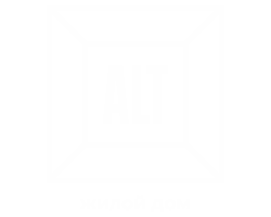 Альт Челябинск