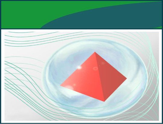 Топоматик Robur Инспектор проектов