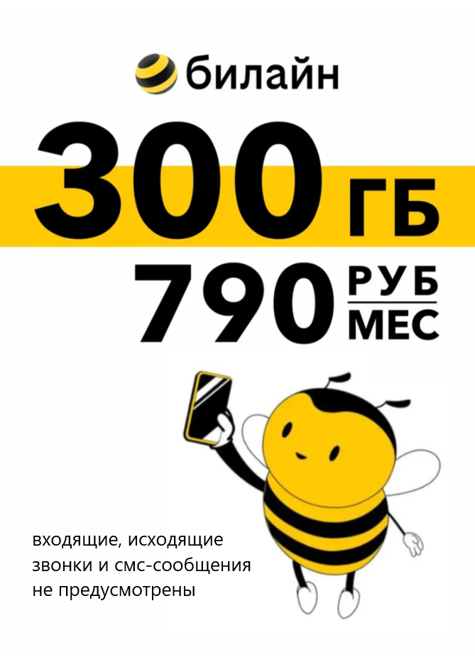 300 ГБ за 790 руб.