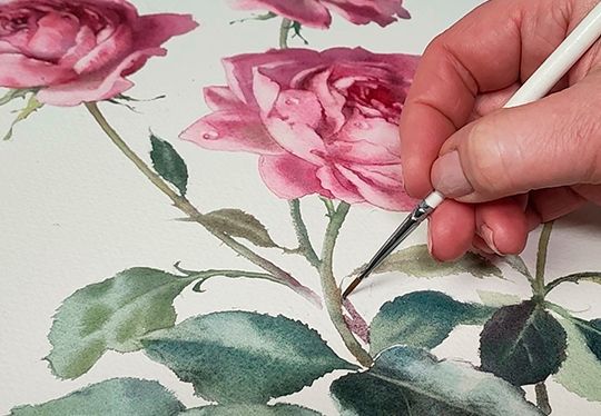 Dialog of the epochs: Pierre-Joseph Redouté