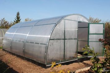 Теплица 12 МЕСЯЦЕВ