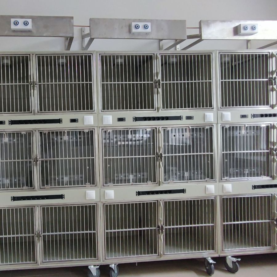 Подводка кислорода к клеткам в ветеринарной клинике