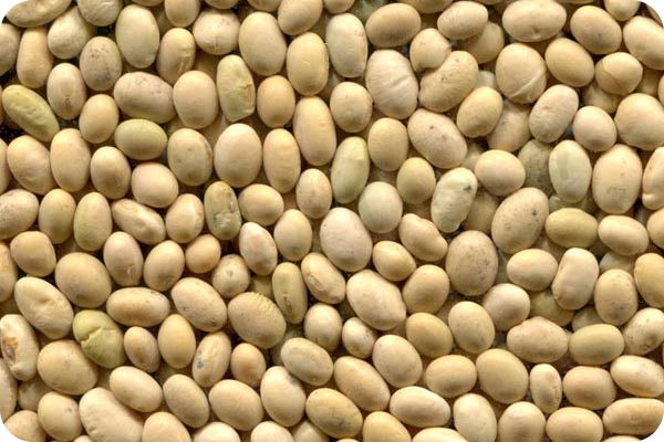 Сортировка сои на фотосепараторе