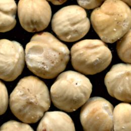 Фундук после сортировки на фотосепараторе (годный продукт)