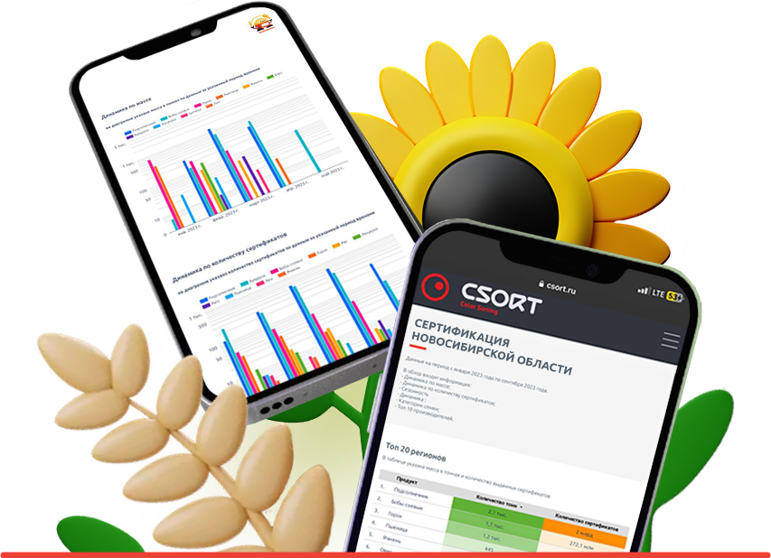 Обложка_сертификация