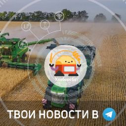 Антикризисные меры