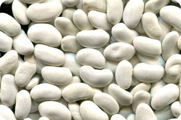 Сортировка фасоли на фотосепараторе