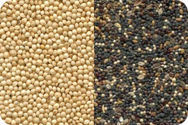 Amaranth color sorting