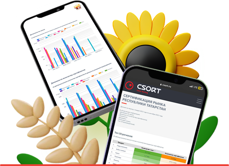 Обложка_сертификация