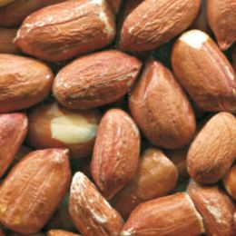 Арахис после сортировки на фотосепараторе (годный продукт)