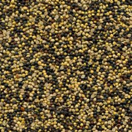 Засорители после сортировки рапса (отход)