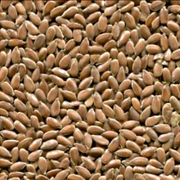 Лён после сортировки на фотосепараторе (годный продукт)