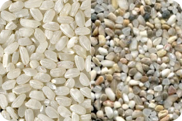 Rice color sorting