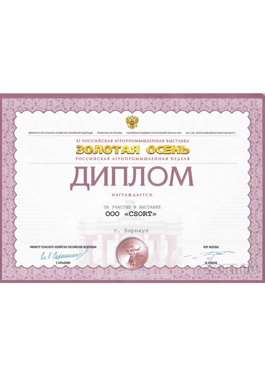 Золотая осень CSort