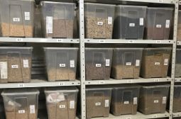 Через 5 лет в России не будет плохой крупы