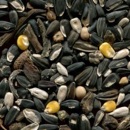 Засорители после сортировки ядра подсолнечника (отход)