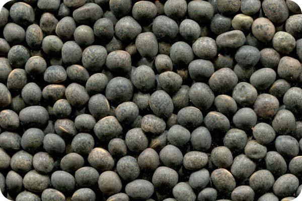 Сортировка вики на фотосепараторе