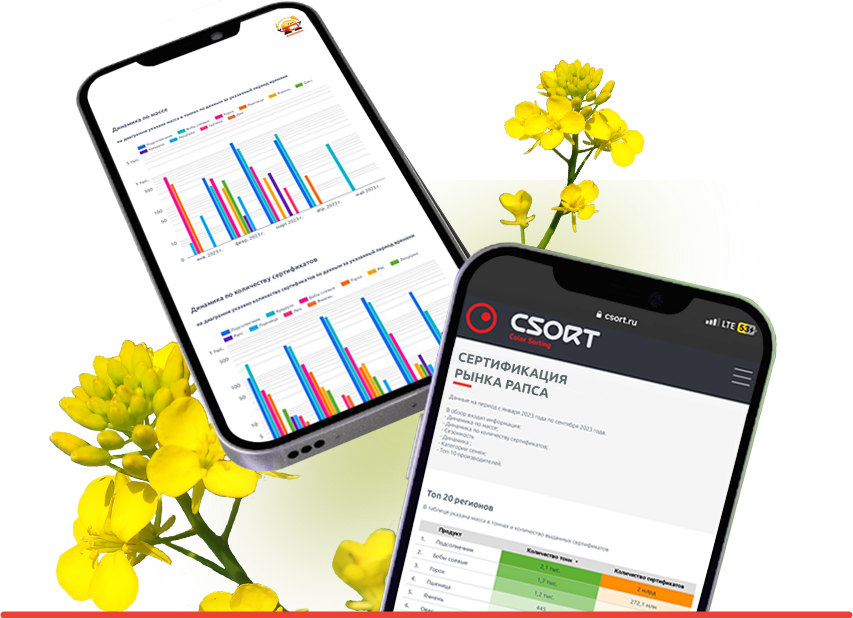 Обложка_сертификация