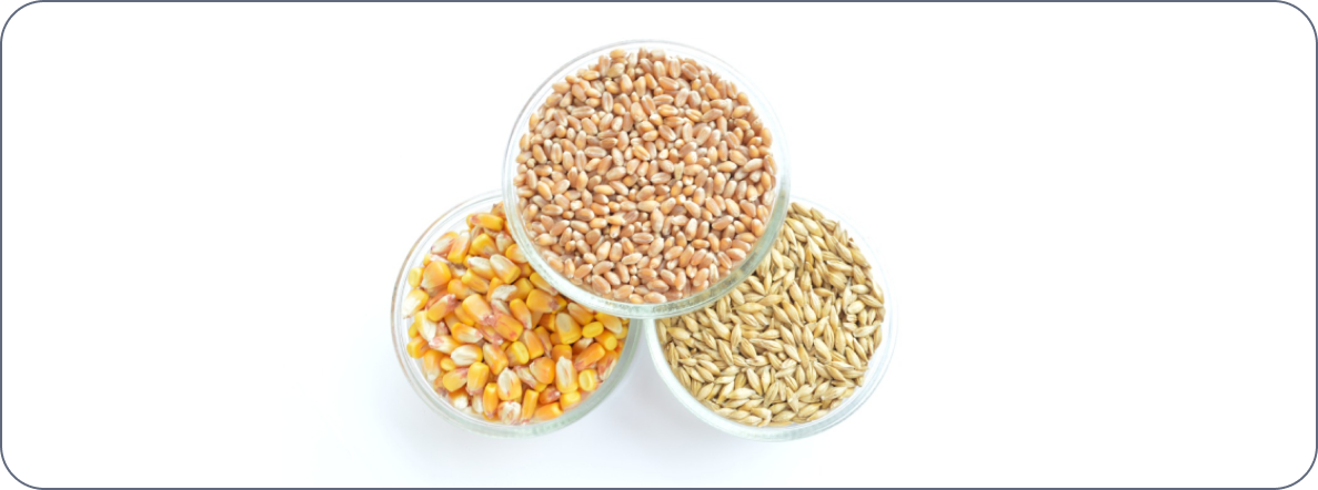 Agricultural and forestry
bulk materials sorting