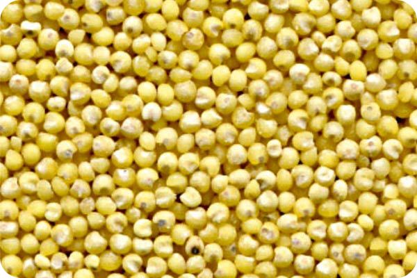 Сортировка пшена на фотосепараторе