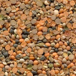 Вика (отход)