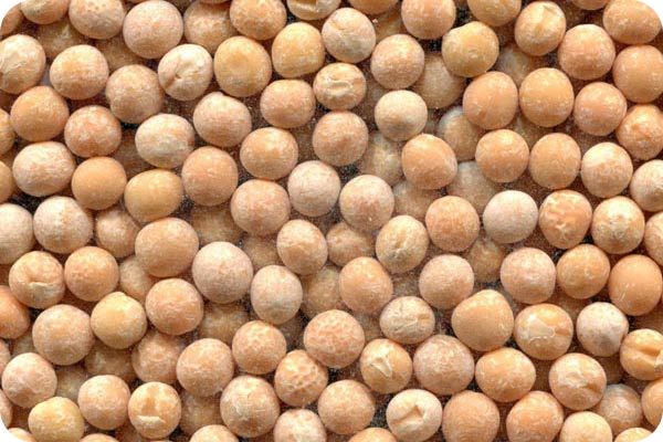 Сортировка гороха на фотосепараторе