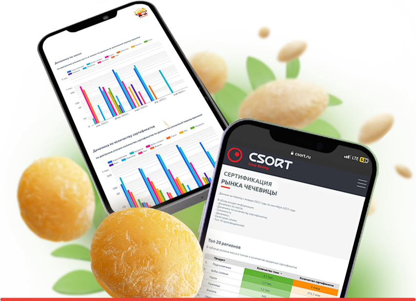 Обложка_сертификация