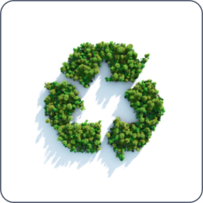 Sorting of recycable materials