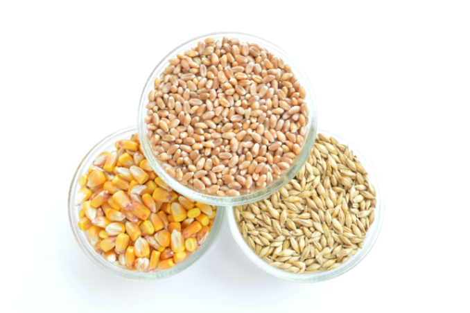 Сортировка продукции сельского и лесного хозяйства на фотосепараторе