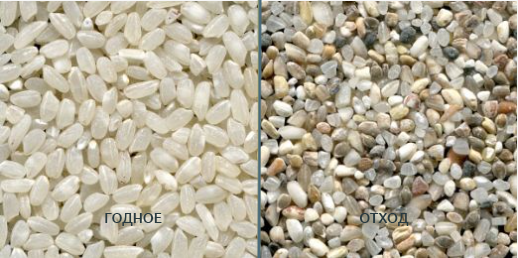 обложка_сортировка риса