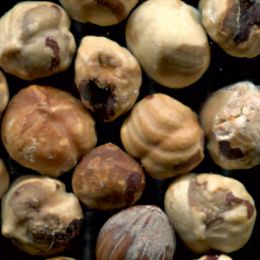 Засорители после сортировки фундука (отход)