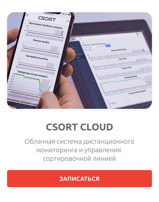 Цифровые услуги CSortCloud