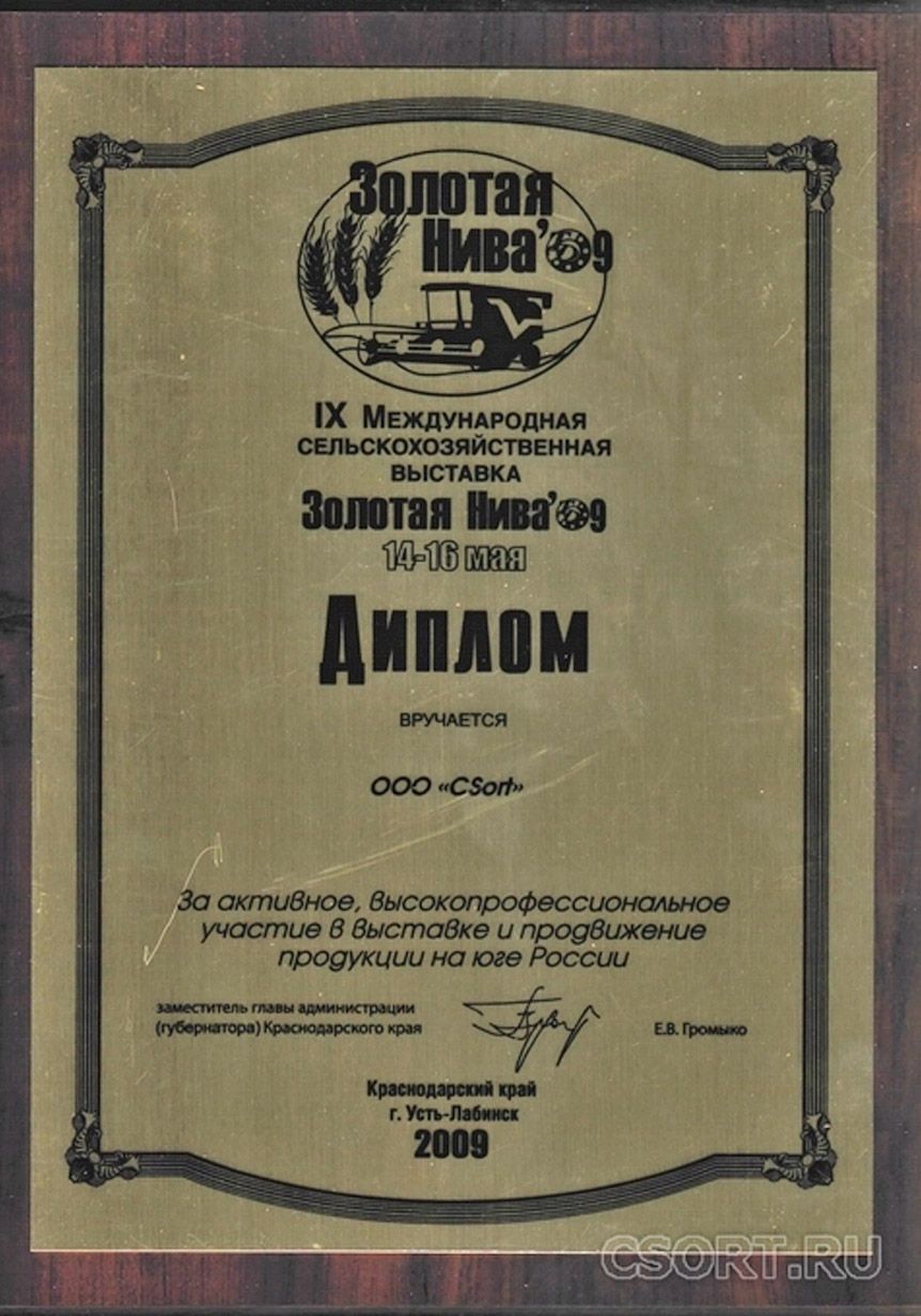 CSort, Золотая Нива 2009