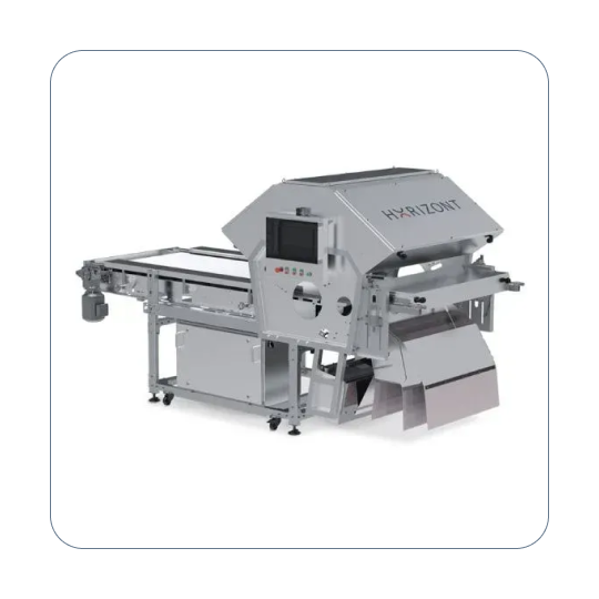 Optical sorter Horizont