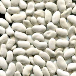 Фасоль после сортировки на фотосепараторе (годный продукт)