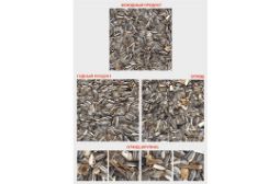 Очистка полосатой семечки решена!