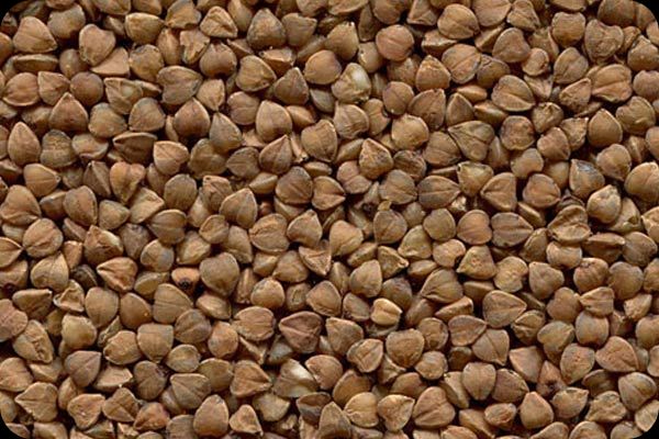 Сортировка гречихи на фотосепараторе