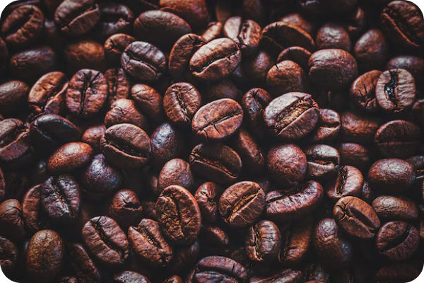 Сортировка кофе на фотосепараторе