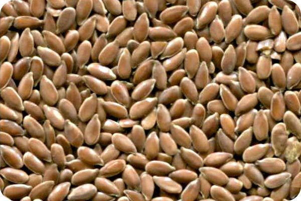 Сортировка льна на фотосепараторе