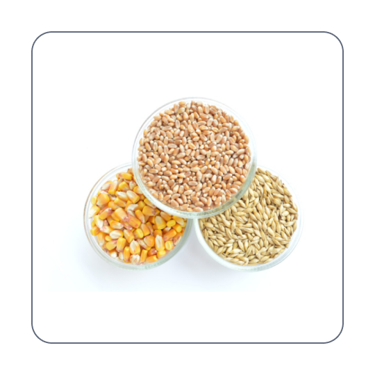 Agricultural and forestry bulk materials sorting