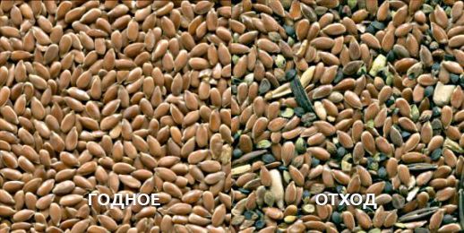 обложка_сортировка льна