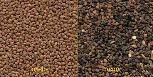 Гречиха_годное_отход