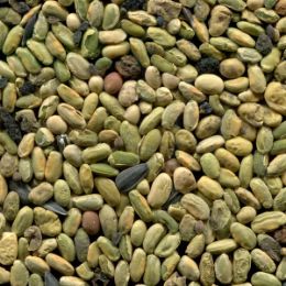 Засорители после сортировки сои на фотосепараторе (отход)