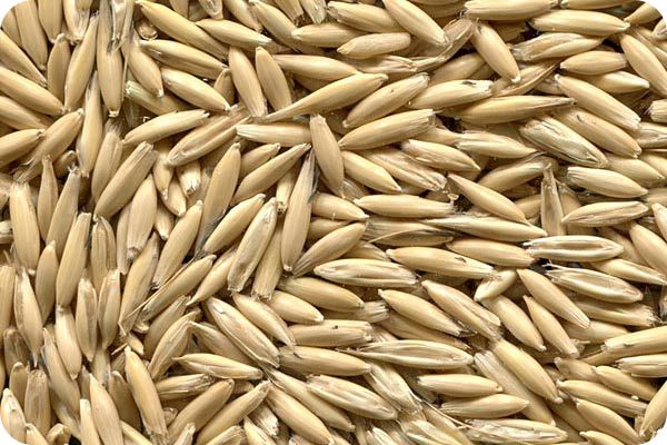 Сортировка овса на фотосепараторе