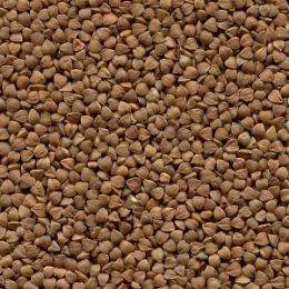 Крупа гречневая после сортировки на фотосепараторе (годный продукт)