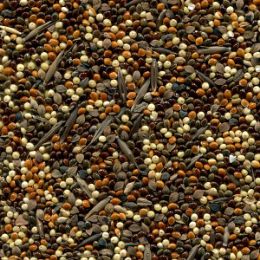 Засорители после сортировки просо на фотосепараторе (отход)