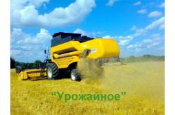 В хозяйстве «Урожайное» начала работу линия тонкой очистки семян горчицы.