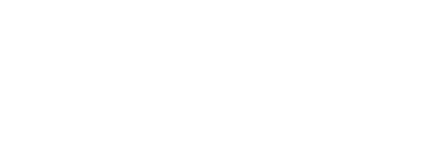 Деловое Партнерство Сибири logo