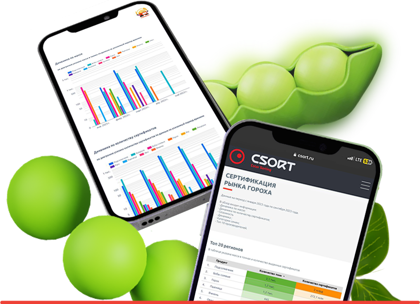 Обложка_сертификация