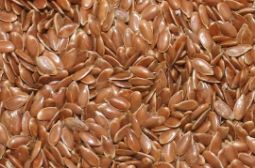 Предприятия Казахстана могут возместить 25% затрат на покупку фотосепаратора «СиСорт»